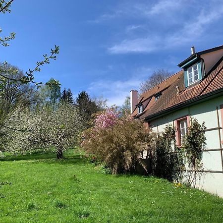 Ferienwohnung In Historischer Muehle Buchen  Esterno foto